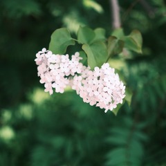 49415EED-59D0-43FC-AC25-3AB69F1EFFBD/L0/001