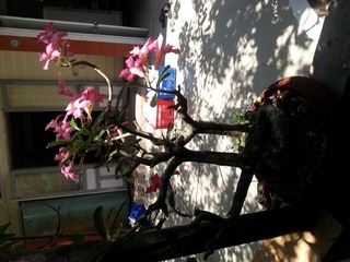 20150502_125407