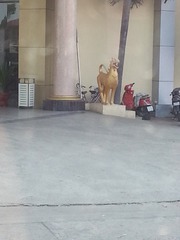 20150503_142435