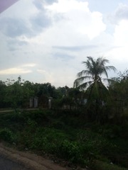 20150503_144922