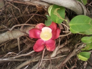 20150504_094528
