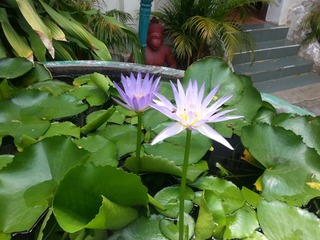 20150504_102251