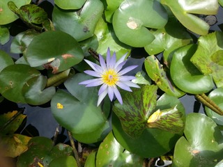 20150504_102256