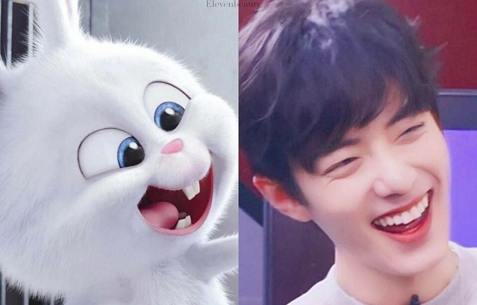 呀呀呀特喜欢这兔牙