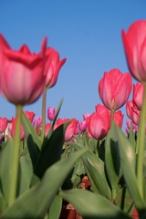 23A6981E-C775-401E-9372-08707D277BF7/L0/001