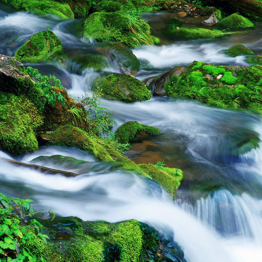 泸沽湖的阿夏幽谷