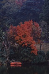 6DB47A1E-9875-4C91-986D-FBC85F1AF6D5/L0/001