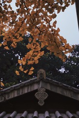 C82D49C8-B088-441A-8E3A-1CC5F6A78FFE/L0/001