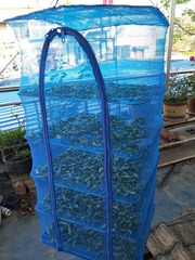 200900