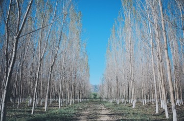 B6413E30-54C0-44AF-80A5-5984D57E8E99/L0/001