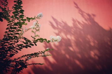 0A658D5D-6742-462E-B148-55D7D796A795/L0/001