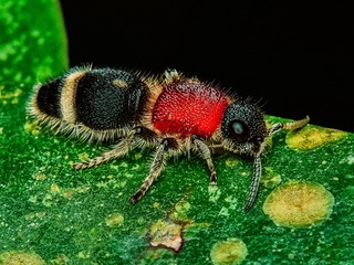 1640672