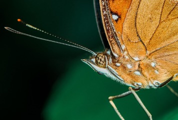 1640673