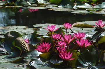 DSC_1835_00044