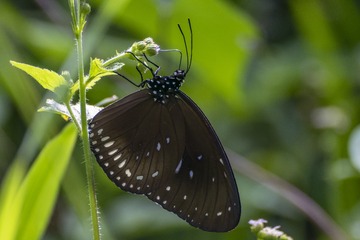 DSC_9342-2-500