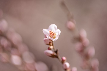 6DEE7AFC-7D93-420F-B8BA-258F61875457/L0/001