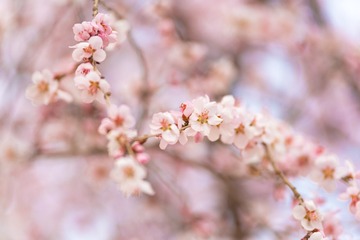 676EA3EA-63A7-4B78-B725-EB30F9613976/L0/001