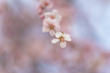 2D007436-9D0F-4627-9BA2-130278D5D9C6/L0/001