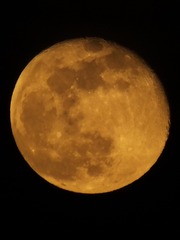 1397229