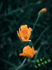 1643016