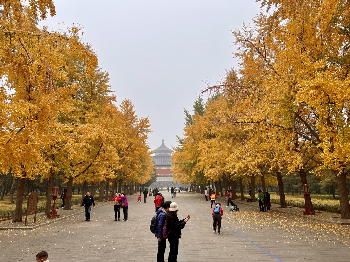 北京秋天天坛公园