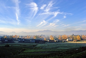 银杏村-杨积铭 (3)-