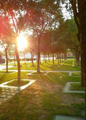photo。a38