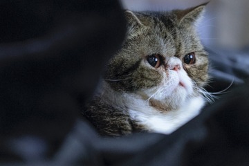 85778