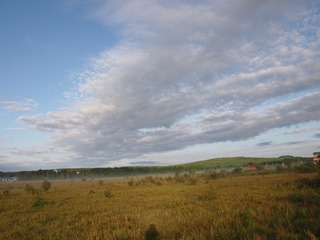 P8314213