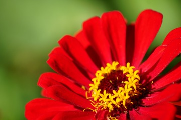 2BB6F7C6-3B3E-49E1-83CC-F0042B0D2E08/L0/001