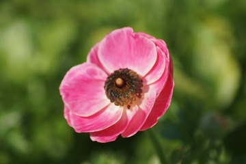 D8B5CB53-BC4D-437C-9CA9-5C3A6CE0EEDF/L0/001