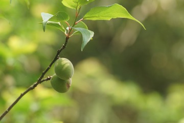 E380A270-D0A5-4D5C-902B-794384FE900F/L0/001