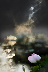001