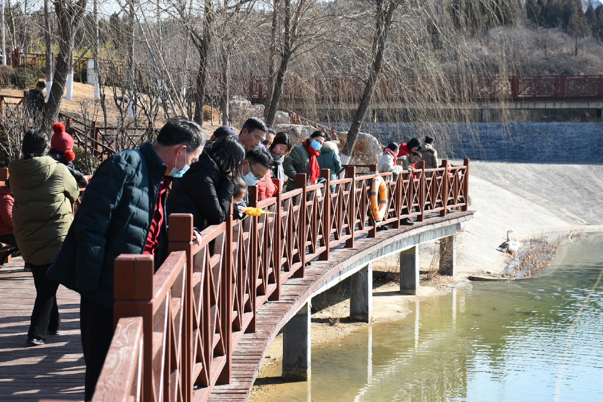 新春游逛淄博花山公园