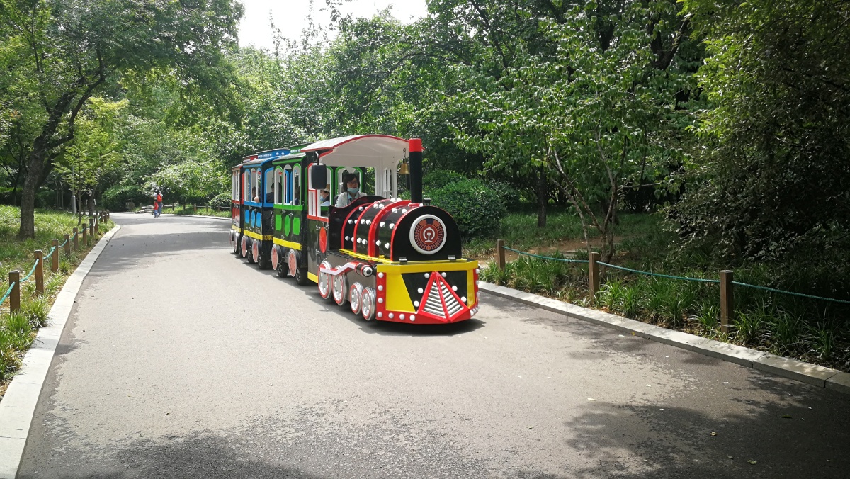 随手拍丛林小火车