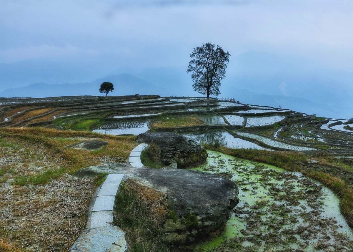 小岩底梯田一幅挂在天边的田园图画