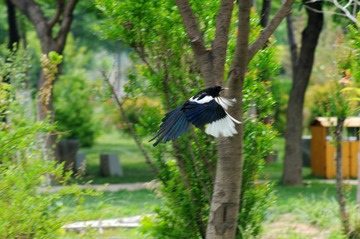 DSC_0070(1)
