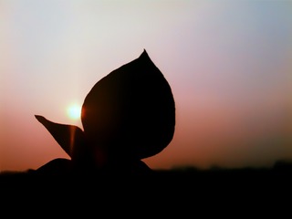 2016-04-27 12.02.40 2-01