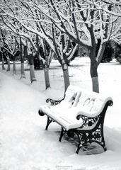 下雪了，天晴了