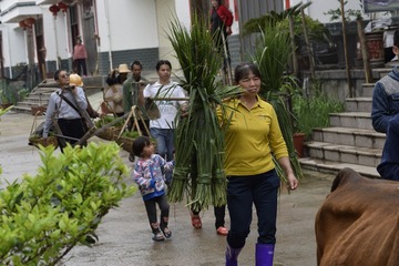_DSC0218