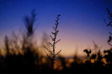 826A4B81-717B-492C-9482-AD54EAB1BFE8/L0/001
