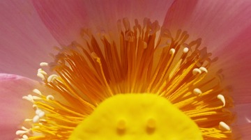 20160822_081519