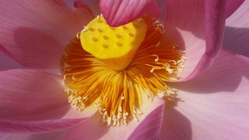 20160822_082424