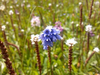 IMG_20120805_135842
