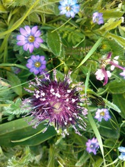 IMG_20120805_134625