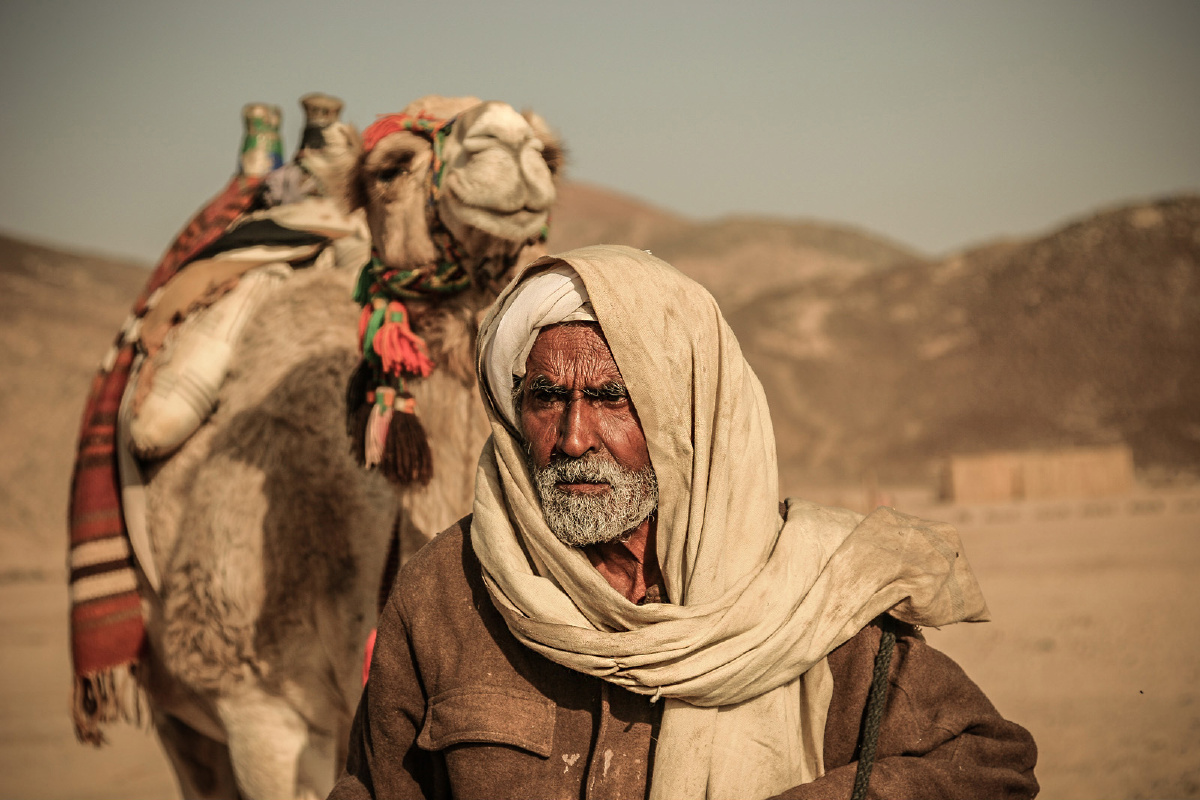 埃及贝都因人部落牵骆驼的老人