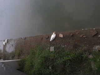 20160519_154932