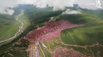 DJI_0010
