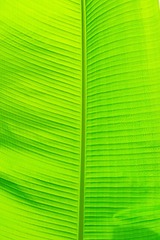 EE00C4C9-E07D-4D81-AB3B-FBCF91E43B34