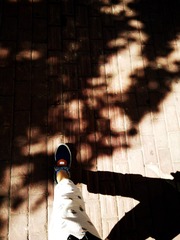 C360_2016-08-14-14-21-34-496
